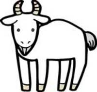 いったーあんまーまーかいが。 2007/10/25 15:11:37