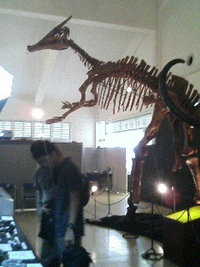 マンモスがやって来た！ 2005/11/26 18:50:21