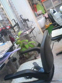 ひっさびさの おしゃれ〜！ 2006/04/05 17:50:43