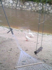 早朝デート？ 2006/05/28 09:08:14