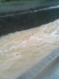 豪雨！ 2006/05/31 19:11:17