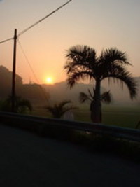 島の朝 2005/12/26 08:06:54