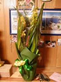 遂に無職 2005/12/31 01:58:19