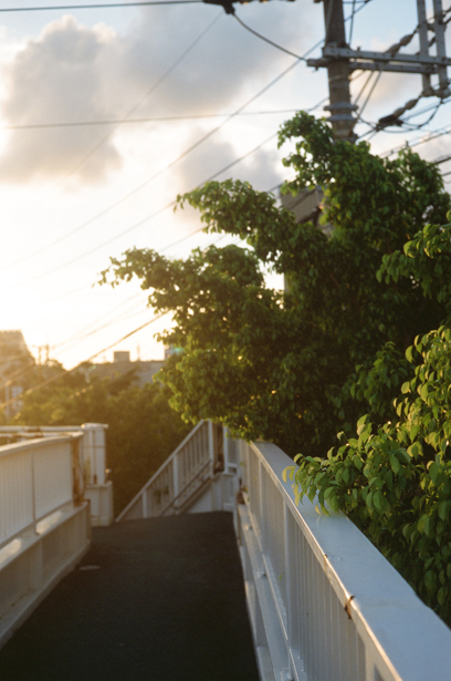 朝昼夕light