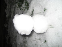 あぶねぇ 2010/12/05 08:58:21