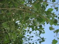 おはようございます！！ 2011/06/03 01:58:45