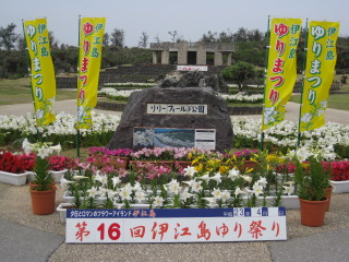 ゆり祭り♪