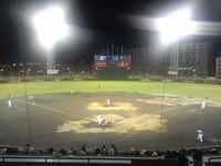 the プロ野球！