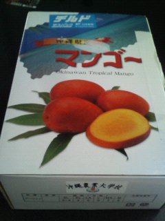沖縄を離れて初めて感じたメリット