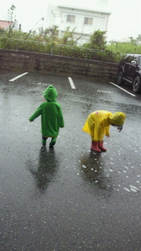 雨〜♪ 2012/05/17 22:58:58