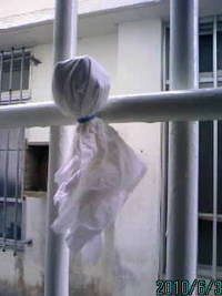 お泊り 2010/06/03 10:27:55