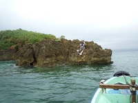 辺野古沖磯長島釣果 2011/06/01 19:18:58