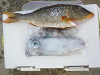辺野古沖磯　長島・ウンケ－島釣果！ 2012/01/20 19:00:38