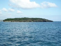 辺野古沖磯、長島、平島釣果！ 2011/10/29 21:26:12