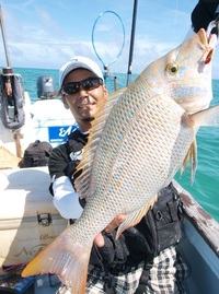 辺野古沖ボートライトルアーで釣れた魚たち！ 2012/01/18 23:08:46
