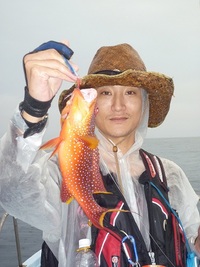 ライトゲーム釣果！ 2012/11/23 19:11:57