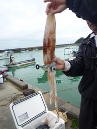 辺野古沖磯フカセ釣果！ 2012/04/15 21:02:55