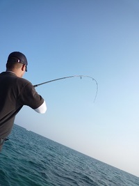 ボートライトルアー釣果！ 2012/05/06 20:04:53