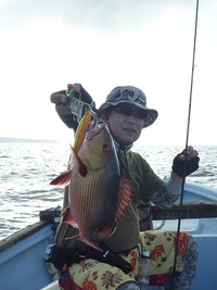 ナブラ＆タマンゲーム＆五目！ 2012/07/06 17:16:16