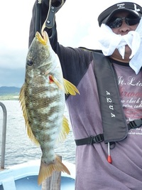 今日は、ミーバイＤａｙ 2012/09/11 21:43:49