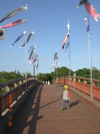 GW①・・・★散歩 2008/05/04 23:34:54