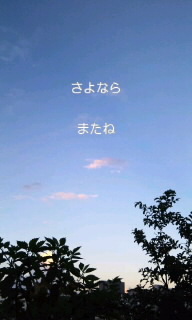 ｡:* 誘い世 *:｡