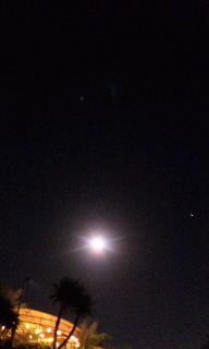 ｡:* Hula☆Moon *:｡