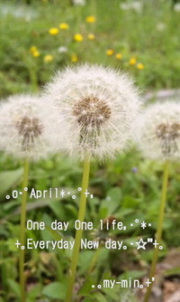 ｡:* April *:｡ 2011/04/01 23:34:35