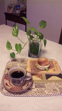 今日もぽっかぽか 2011/01/20 11:39:34