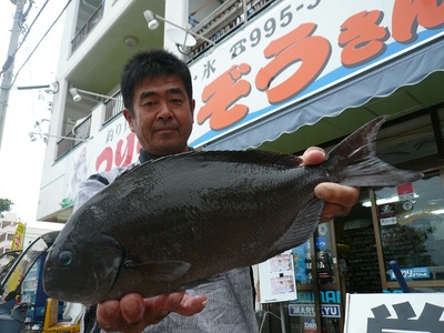 荒崎海岸 つりぐのぞうさん