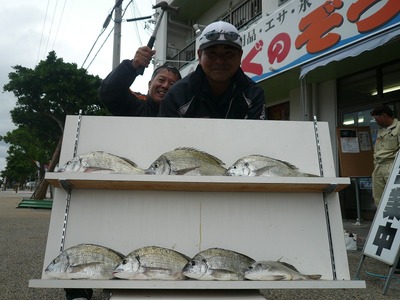 伊敷さん・・南黒鯛数釣り釣果（＾０＾）
