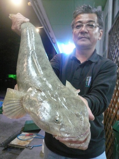 吉門さん ウキ釣りでのコチ釣果です つりぐのぞうさん