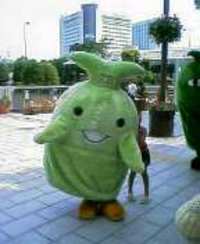 キッコロ