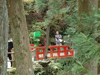 森の木陰で発見