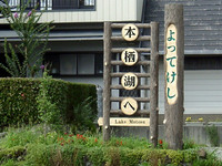 よってけし