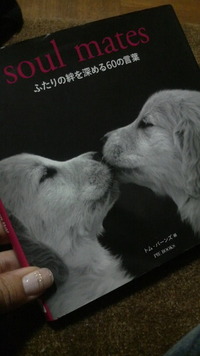 soul mates　ふたりの絆を深める60の言葉 2012/01/15 18:30:32