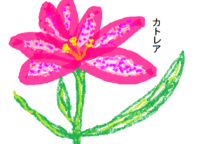 　ペイントを使ってお絵かき 2011/05/25 11:48:31