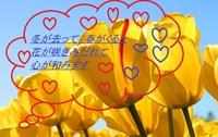 雨でも気持ちは明るく 2011/05/11 12:09:05