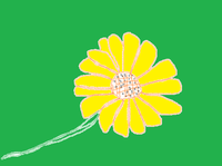 お花