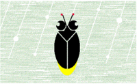 梅雨は蛍の季節 2011/05/14 16:01:44