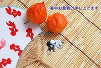 暑中お見舞い 2011/07/29 12:38:59