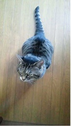 迷惑だったかな？ 2011/06/26 01:28:16