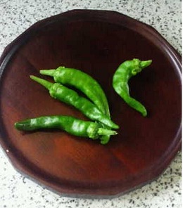 母の趣味