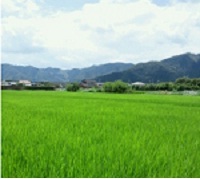 前日の疲れを風景に癒される━の巻 2011/08/22 16:15:11
