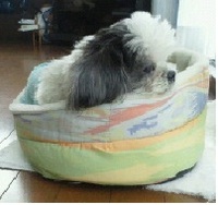 われ思う・・・・・・ 2011/12/18 15:43:03