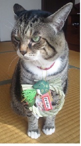 少し季節外れですけども・・・ 2012/01/21 00:02:07