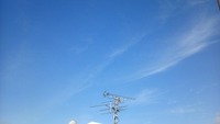 晴れ晴れ。 2011/05/18 09:10:29