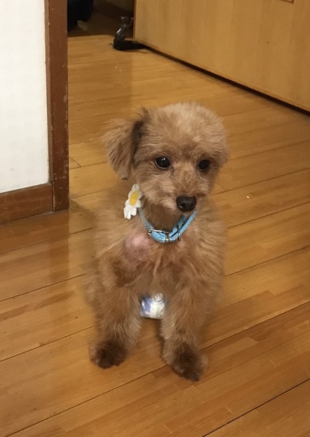 ＹＯＵは何派？