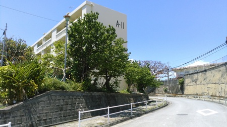 さくらんぼとアロエベラ