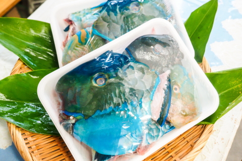 全国発送 刺身 鮮魚の上原水産
